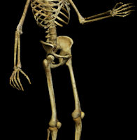 Structural System health