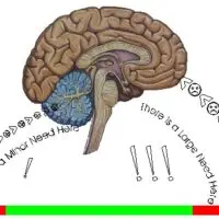 Brain health