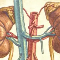 Urinary health