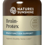 Brain