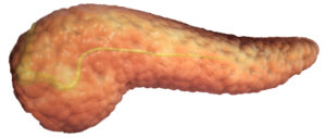 Pancreas health