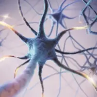 nerve health