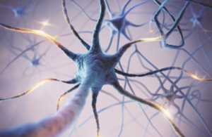 nerve health